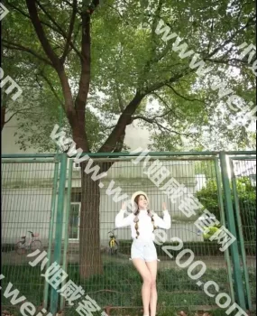 徐汇泻火不错的呆小萌